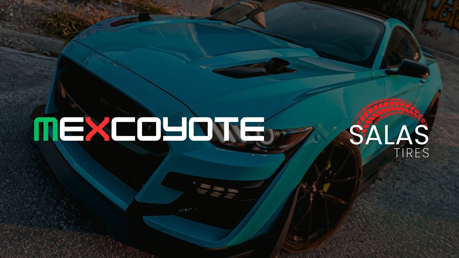 MexCoyote